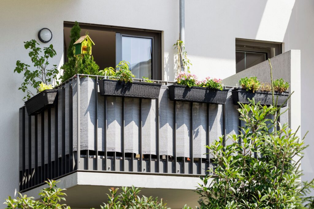 Meisenknoedel_Balkon_freundlich