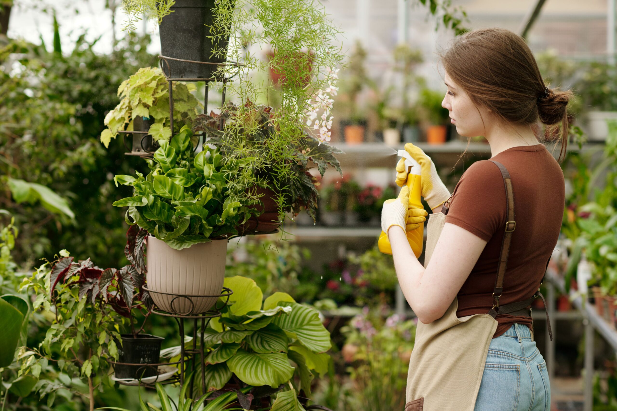 Meisenknoedel_Garten_freundlich